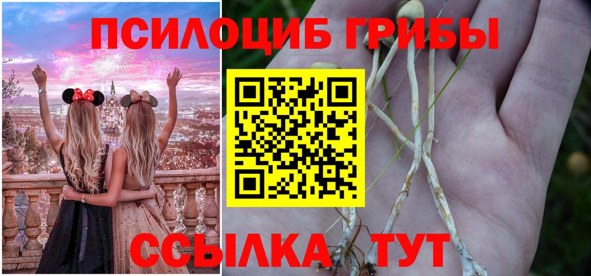 Галлюциногенные грибы Psilocybe  Вход с VPN  Вичуга  Галлюциногенные грибы GOLDEN TEACHER 